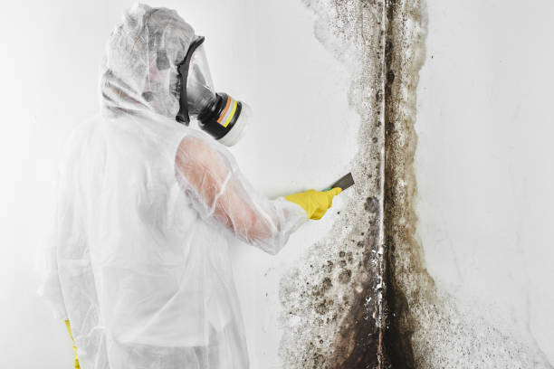 Water Damage Restoration in Trail Creek, IN