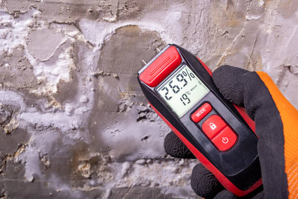 Best Mold Removal and Inspection  in Trail Creek, IN